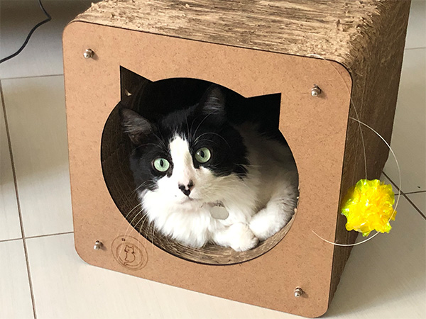 Arranhador Tocat - Image 3